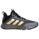 Adidas Ownthegame 2.0